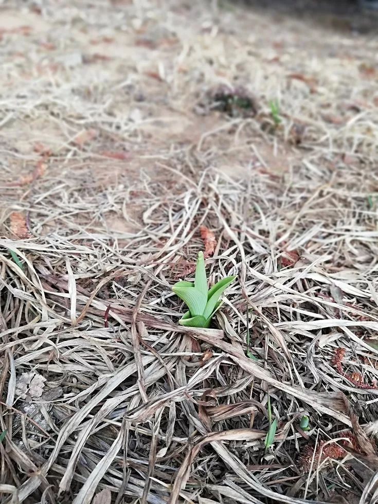 三亿体育手机版