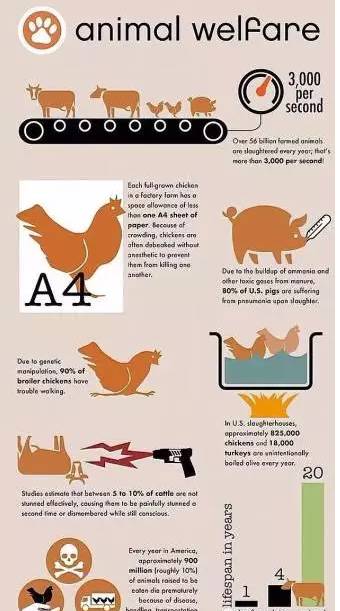 三亿体育手机版