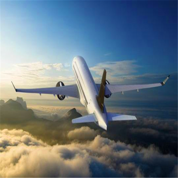 谁该为拍品预展遭损毁负责“三亿体育”