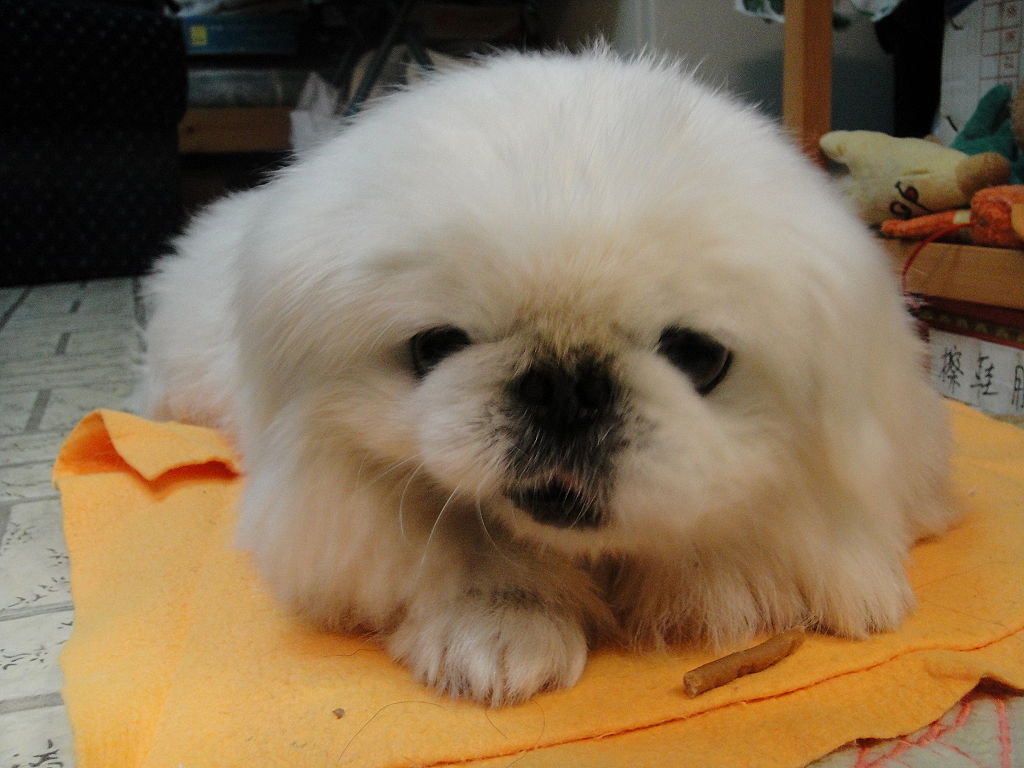 三亿体育_中央美院本科毕业作品展开幕两千余件作品亮相