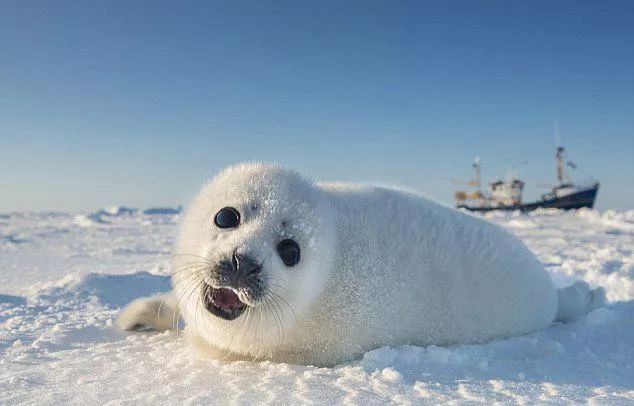顺丰同城拟加强新零售布局；商桥传化共造物流金融新生态|物流热点......_三亿体育官网